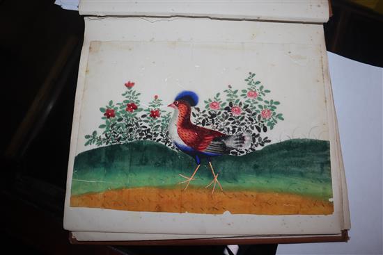 A 19th century Chinese album of 14 paintings on pith paper, birds and figures